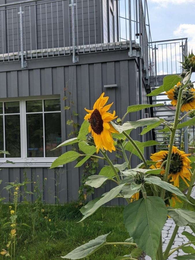 Villa Haus Zur Aach Tinyhouse à Uhldingen-Mühlhofen Extérieur photo