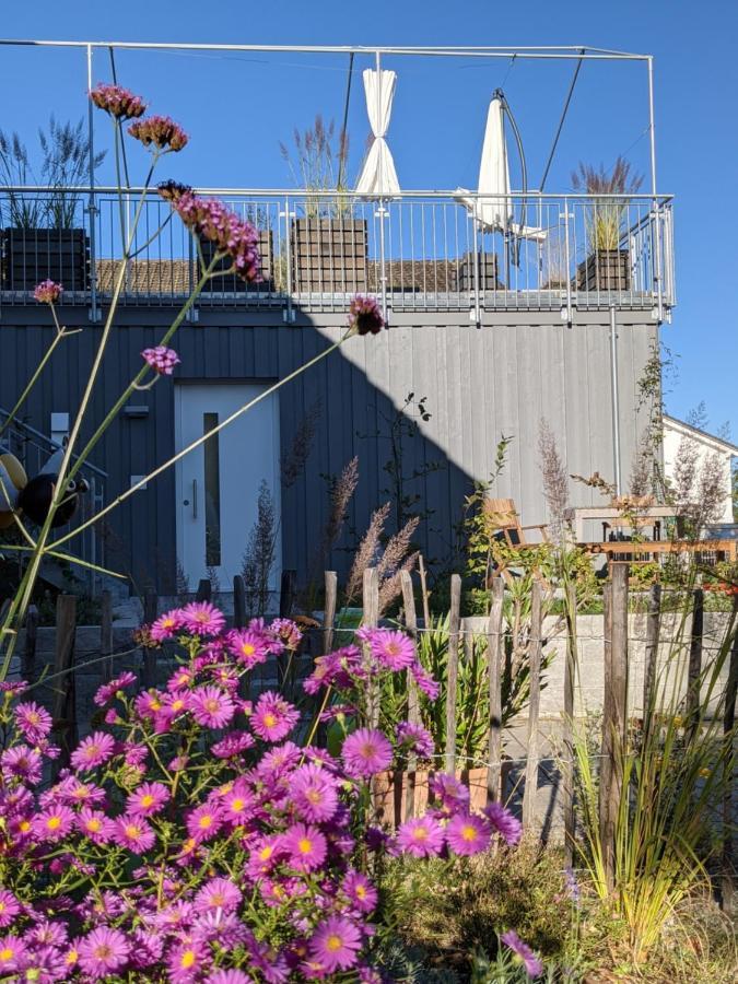 Villa Haus Zur Aach Tinyhouse à Uhldingen-Mühlhofen Extérieur photo