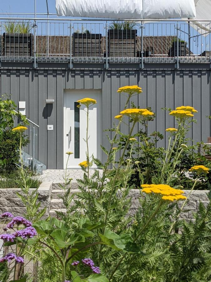 Villa Haus Zur Aach Tinyhouse à Uhldingen-Mühlhofen Extérieur photo